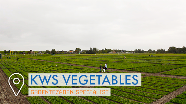 KWS Vegetables